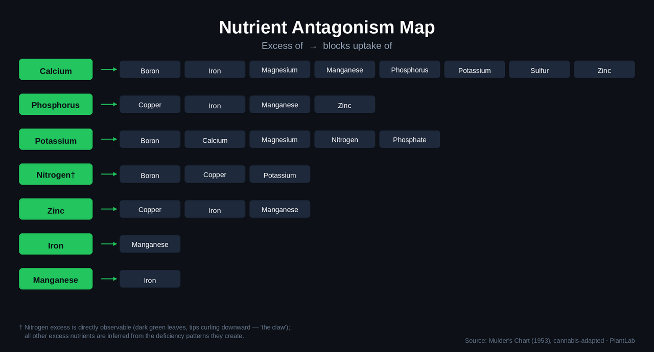 Nutrient Antagonism Map - excess nutrient rows with arrows pointing to blocked nutrients