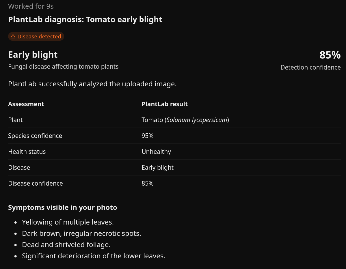 A ChatGPT reply that shows a PlantLab diagnosis of tomato early blight with 85 percent detection confidence, a species confidence of 95 percent, and a list of symptoms